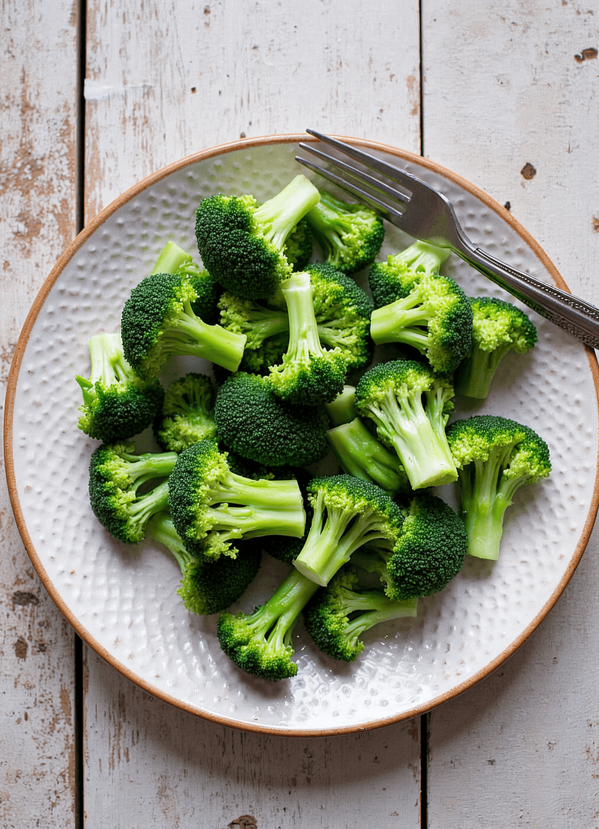 Steamed broccoli florets neatly arranged on a dinner plate, offering a healthy side dish.